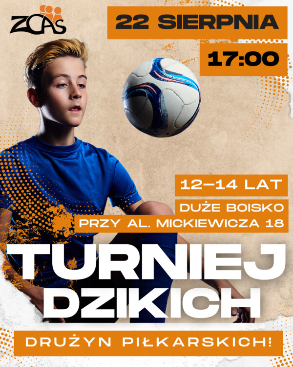 Turniej Dzikich Drużyn 2024