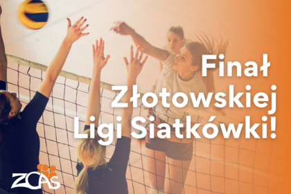 Finał Złotowskiej Ligi Siatkówki - edycja 15!